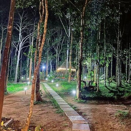 Tall Trees - Modern Forest Villa In Wayanad Султан-Батері Екстер'єр фото