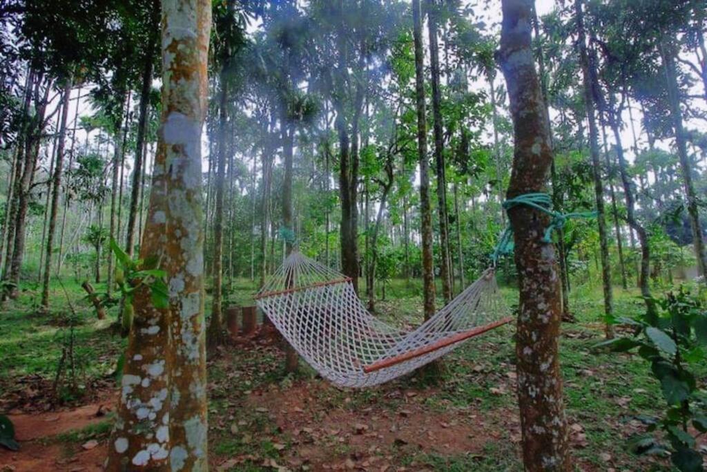 Tall Trees - Modern Forest Villa In Wayanad Султан-Батері Екстер'єр фото