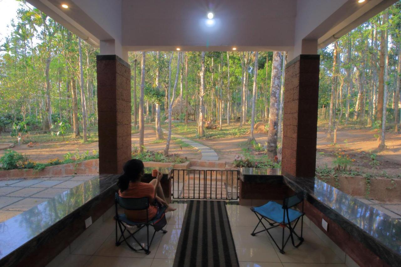 Tall Trees - Modern Forest Villa In Wayanad Султан-Батері Екстер'єр фото