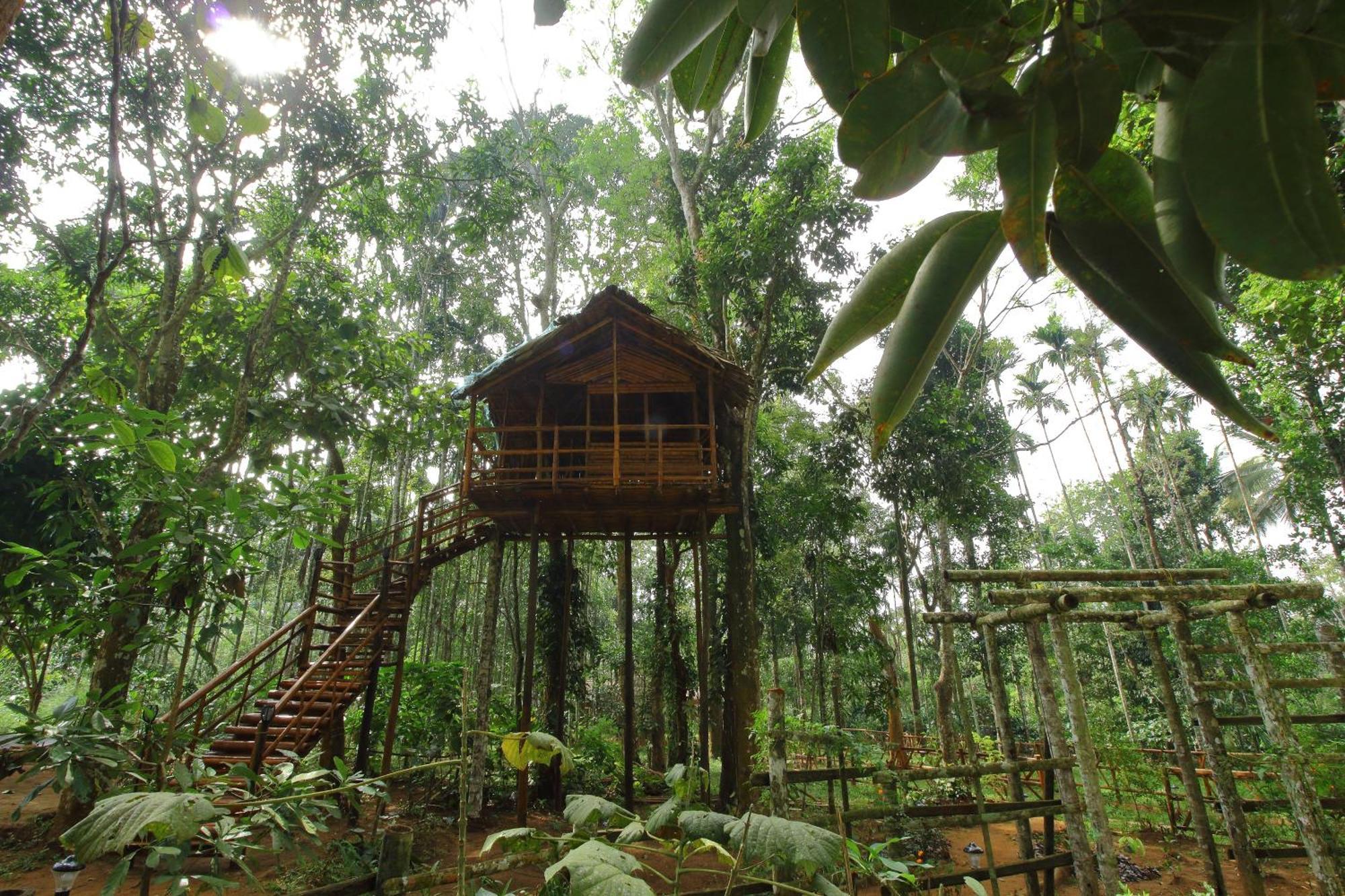 Tall Trees - Modern Forest Villa In Wayanad Султан-Батері Екстер'єр фото