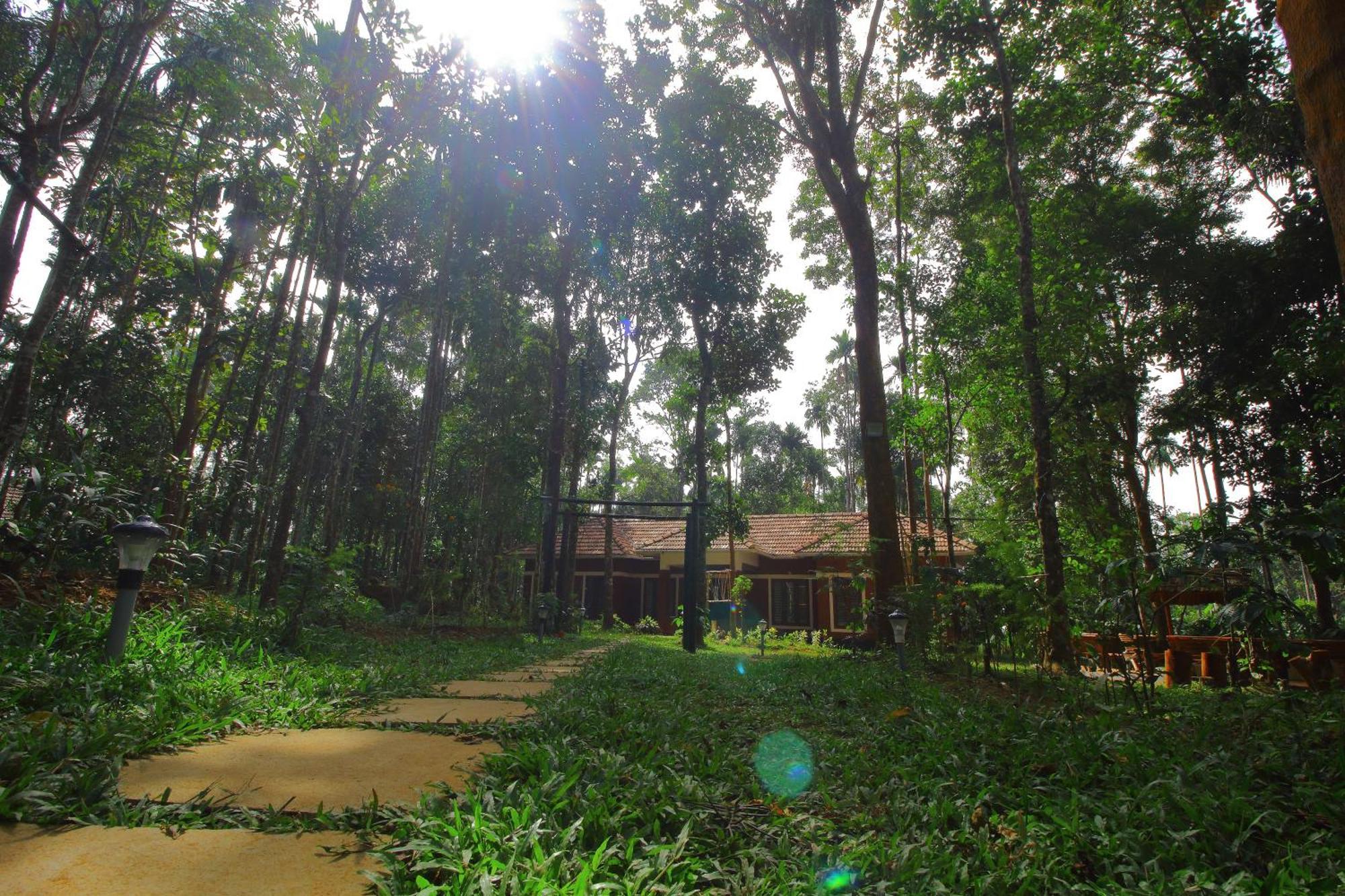 Tall Trees - Modern Forest Villa In Wayanad Султан-Батері Екстер'єр фото